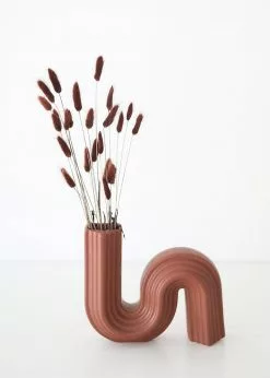 Afloral Dried Flowers Dried Bunny Tails In Walnut - 22-30