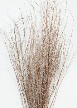 Afloral Dried Hoary Willow Branches - 20-30"