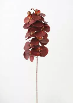 Afloral Artificial Flowers Burgundy Red Fake Phalaenopsis Orchids - 30"