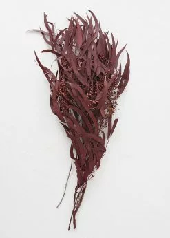 Afloral Preserved Burgundy Seeded Eucalyptus - 18-28" Dried Flowers