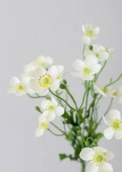 Afloral Artificial Flowers Cream White Artificial Buttercups - 25"