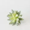 Afloral Artificial Plants Artificial Flocked Succulents Agave Cactus - 4"