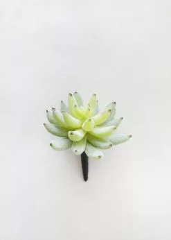 Afloral Artificial Plants Artificial Flocked Succulents Agave Cactus - 4"