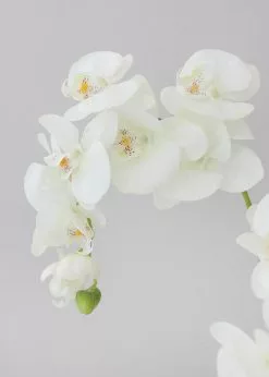 Afloral Artificial Flowers Cream Real Touch Phalaenopsis Orchids - 28