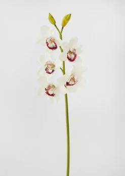 Afloral Cream Burgundy Faux Cymbidium Orchid - 31"