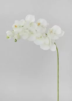 Afloral Artificial Flowers Cream Real Touch Phalaenopsis Orchids - 28"