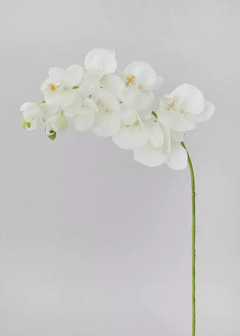 Afloral Artificial Flowers Cream Real Touch Phalaenopsis Orchids - 28"