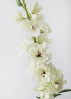 Afloral Artificial Flowers Delphinium Silk Flower In Cream - 36.5"