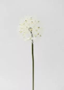 Afloral Artificial Flower Dandelion Seed Head - 30" Artificial Flowers