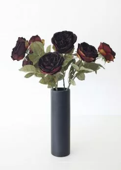 Afloral Eggplant Silk English Cabbage Rose - 25