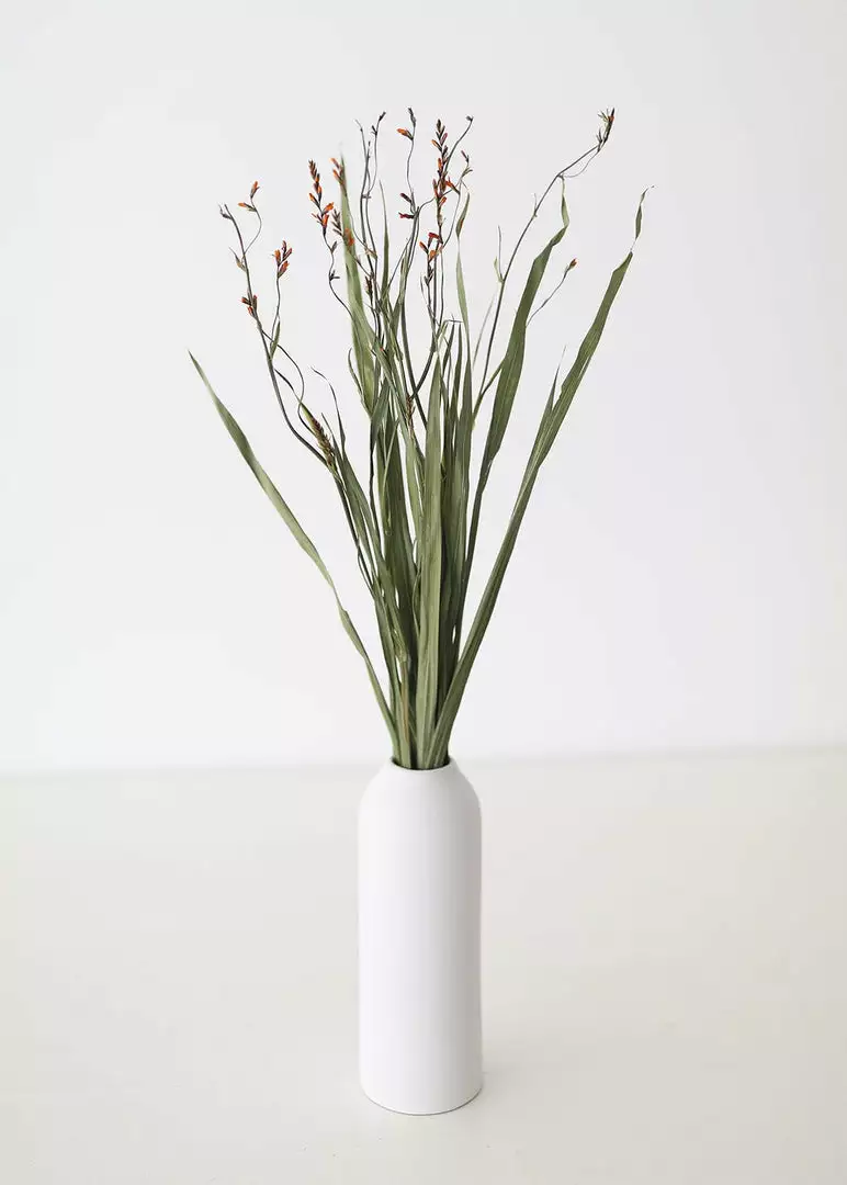 Afloral Dried Orchid Grass With Orange Buds - 22-28" Dried Flowers