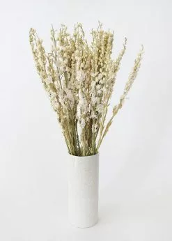 Afloral Cream Dried Larkspur Wildflowers - 23-26