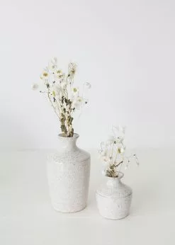 Afloral White Preserved Rodanthe Flowers - 22-28