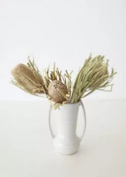 Afloral Bundle Of 2 Dried Banksia Protea Flowers - 12-16