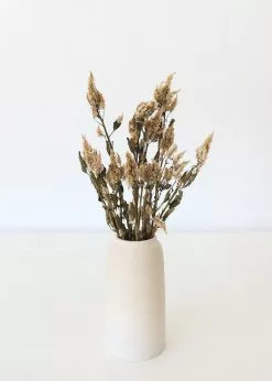 Afloral Dried Celosia Flowers In Terracotta