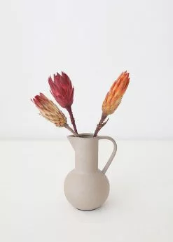 Afloral Bundle Of 3 Dried Protea Repens - 13-15