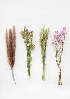 Afloral Dried Flowers Petite Pink Dried Floral Bundles DIY Hoop Kit