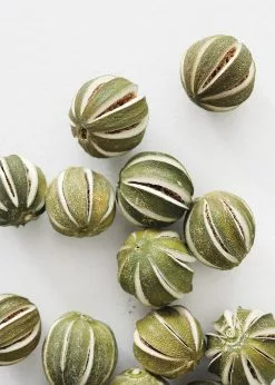 Afloral Bag Of 14 Natural Dried Limes - 1.75-2.25" Dried Flowers