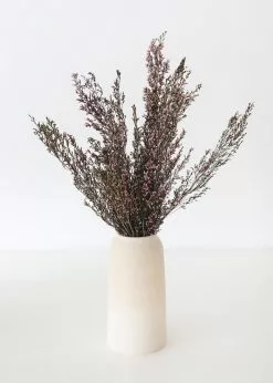 Afloral Naturally Preserved Heather Flowers - 15-20