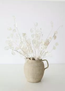 Afloral Dried Flowers Natural Coastal Dried Lunaria Flowers - 24-34