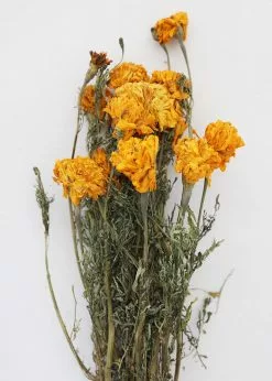 Afloral Yellow Dried Marigold Flowers - 14-22