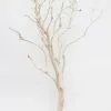 Afloral Dried Flowers Dried Decor Sandblasted Manzanita Branch - 34-38"