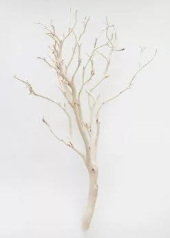 Afloral Dried Flowers Dried Decor Sandblasted Manzanita Branch - 34-38"