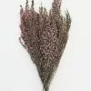 Afloral Naturally Preserved Heather Flowers - 15-20"