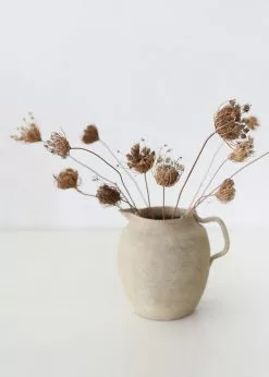 Afloral Natural Dried Queen Anne's Lace - 15-26