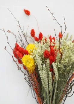Afloral Mixed Bouquet Of Dried Flowers - 14-24"