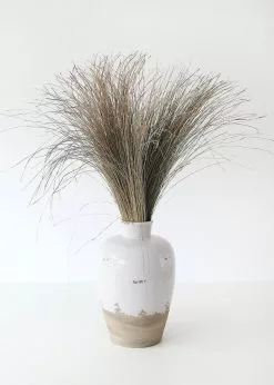 Afloral Preserved Dune Grass - 36