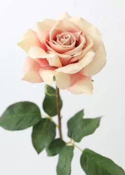 Afloral Dusty Pink Mauve Real Touch Dutchess Rose - 20