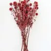 Afloral Dried Flowers Burgundy Dried Echinops Thistle Flowers - 18-28"