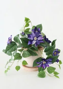 Afloral Bergs Elizabeth Terracotta Pot With Drainage - 6.5