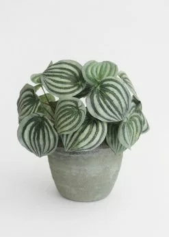 Afloral Earthy Ceramic Planter Pot - 6.25" Vases