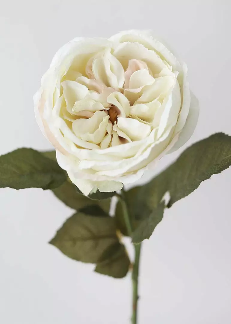Afloral Eggshell Cream English Cabbage Rose - 25" Artificial Flowers