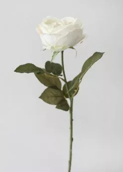 Afloral Eggshell Cream English Cabbage Rose - 25" Artificial Flowers