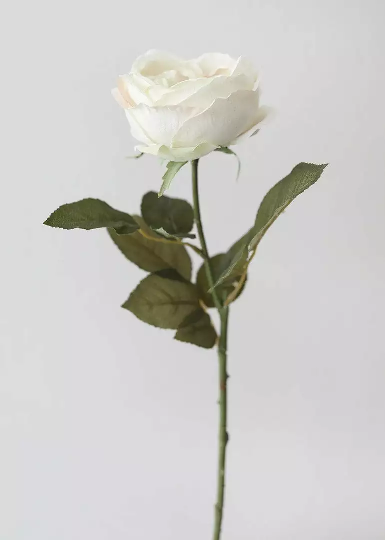 Afloral Eggshell Cream English Cabbage Rose - 25" Artificial Flowers