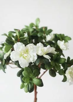 Afloral Artificial Flowers Silk Azalea Bush In Cream White - 12"