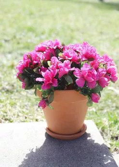 Afloral Azalea Silk Flowers Bush In Fuchsia - 13