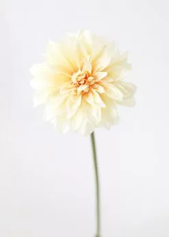 Afloral Dahlia Silk Flower In Yellow Peach - 19"