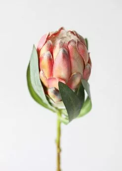 Afloral Faux Protea Flower In Coral Yellow - 18.5