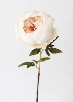 Afloral.com Artificial Flowers Artificial Peony Flower In Ivory - 24"