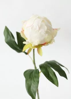 Afloral Artificial Flower Peony Bud In Cream - 18