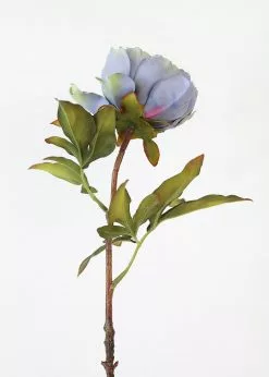Afloral Silk Peony In Antique Blue - 22