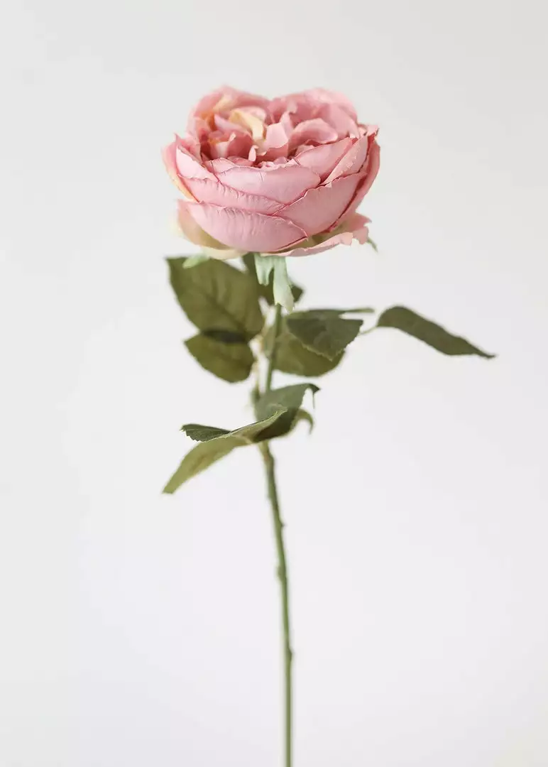 Afloral Artificial Flowers Silk English Cabbage Rose In Mauve - 25"