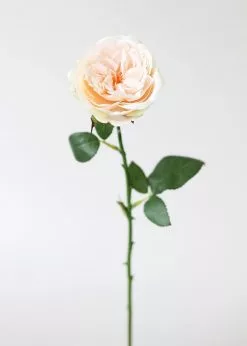 Afloral Artificial Flowers Peach Artificial English Cabbage Rose - 20.5"