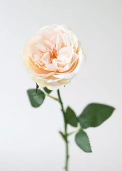 Afloral Artificial Flowers Peach Artificial English Cabbage Rose - 20.5