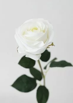 Afloral Real Touch White Rose Stem - 20
