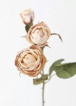 Afloral Beige Faux Dried Roses With Bud - 21"